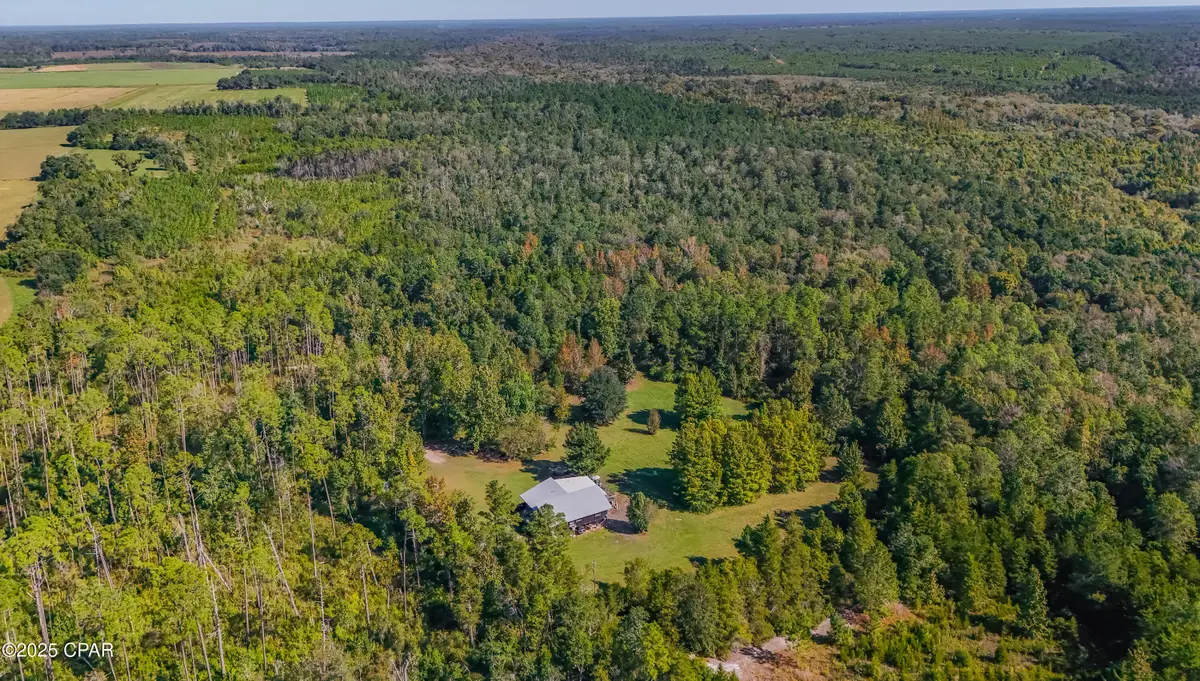 16540 NW County Road 379a, Bristol, FL 32321 - Image #1