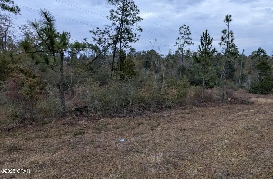 000 Vancouver Drive, Alford, FL 32420 - Image #2