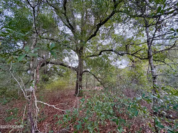 Lot 14 Sadorus Avenue, Alford, FL 32420