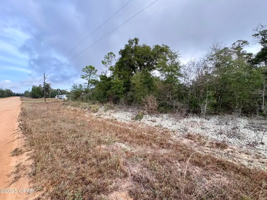 Lot 14 Sadorus Avenue, Alford, FL 32420 - Image #2
