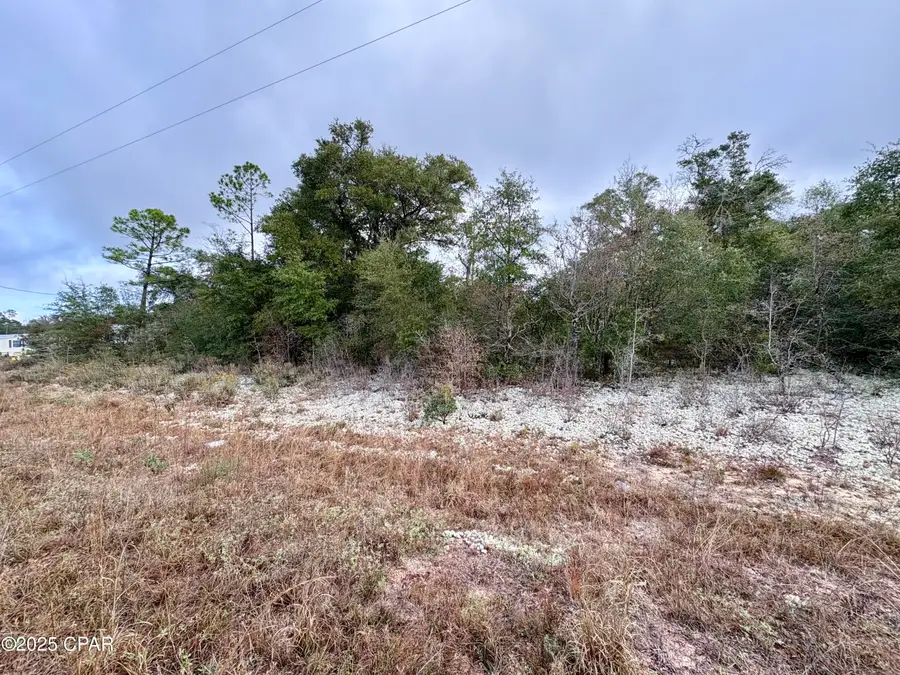 Lot 14 Sadorus Avenue, Alford, FL 32420 - Image #3