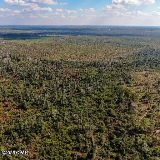 21526 NW Isoletta Lane, Altha, FL 32421 - Image #2