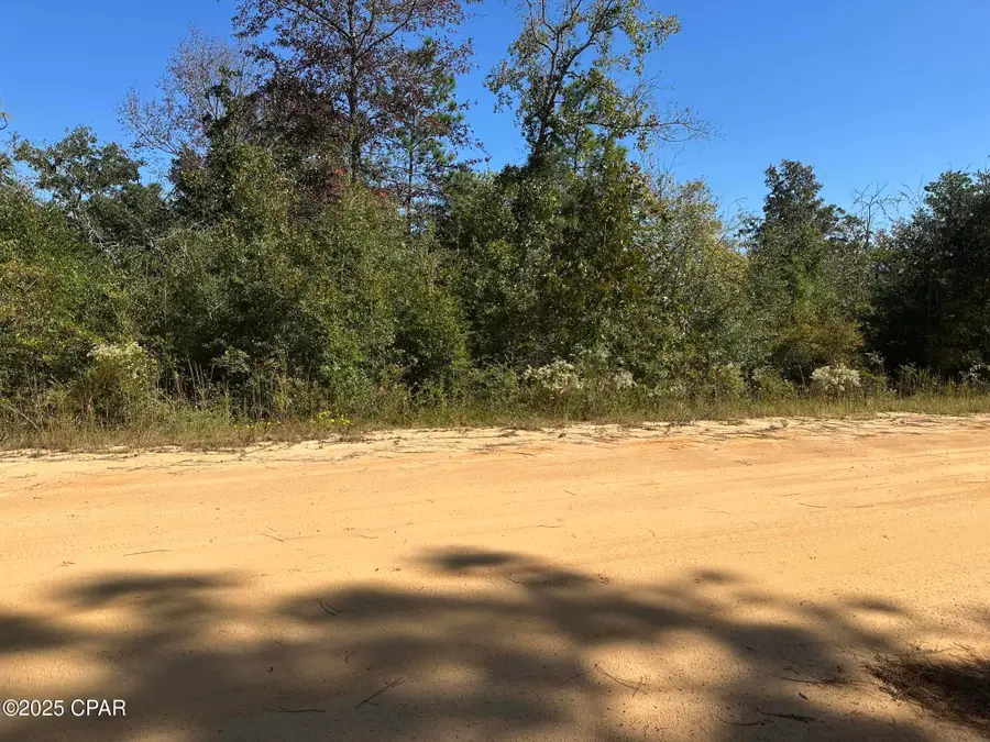 00 Alene Drive, Alford, FL 32420 - Image #3