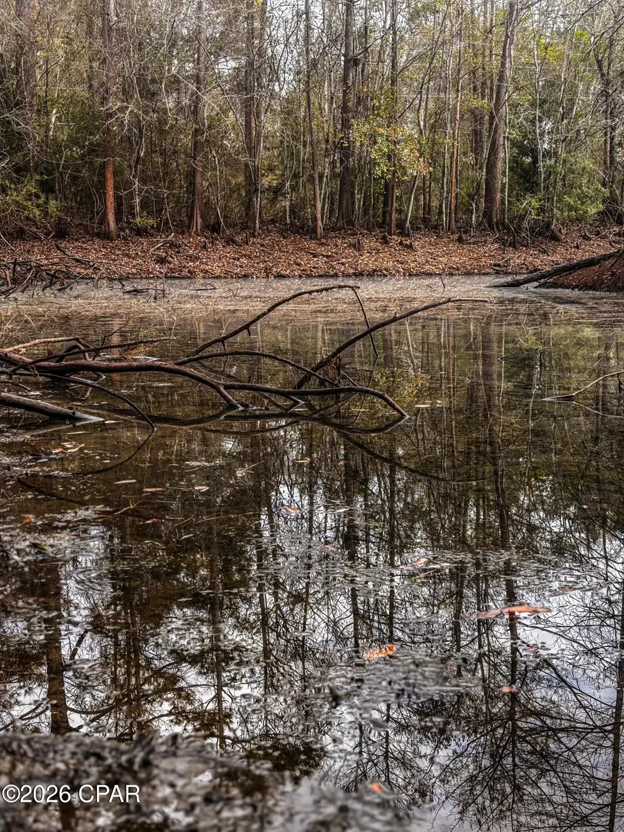 0000 Hwy 77, Chipley, FL 32428 - Image #2