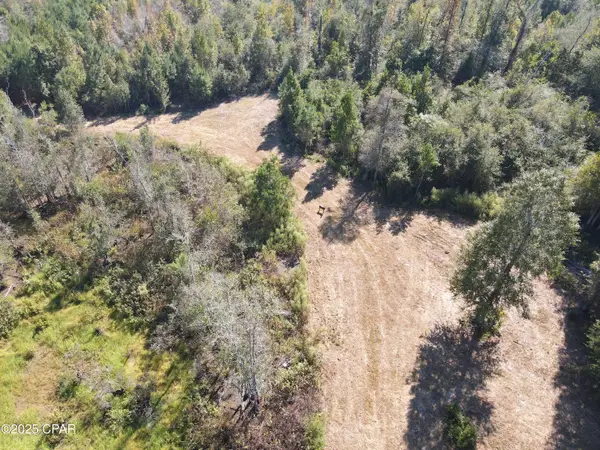 0 Brushey Pond Road, Grand Ridge, FL 32442