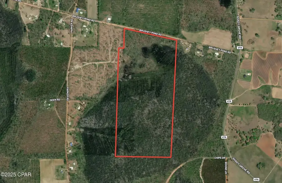 0 Brushey Pond Road, Grand Ridge, FL 32442 - Image #2