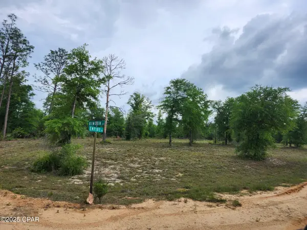 TBD Empire Avenue, Alford, FL 32420