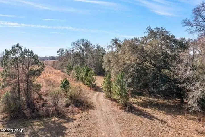 2045 Us Highway 90, Cottondale, FL 32431 - Image #2