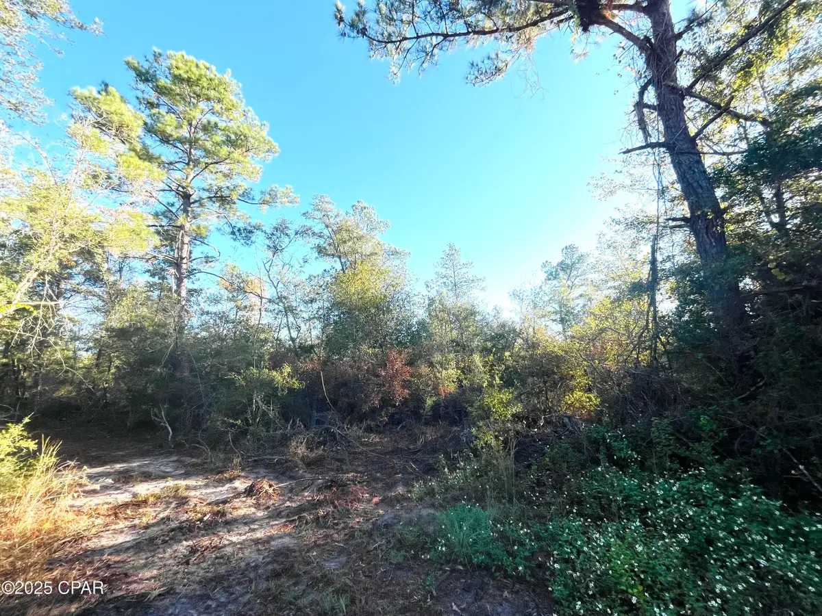 0000 Brushey Pond Road, Grand Ridge, FL 32442 - Image #1