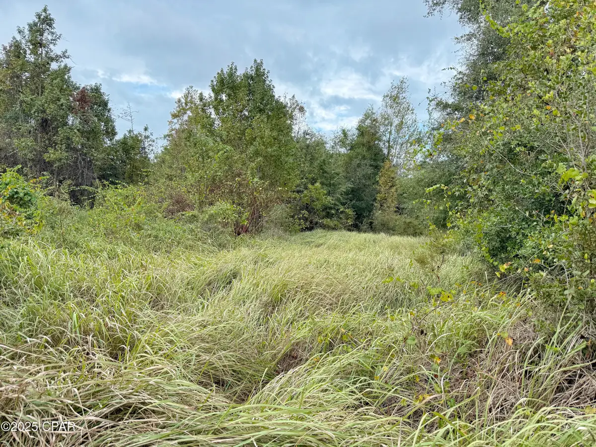 00 Iron Bridge Road, Marianna, FL 32448 - #1