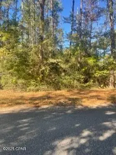 000 Mud Hill Road, Chipley, FL 32428 - Image #2
