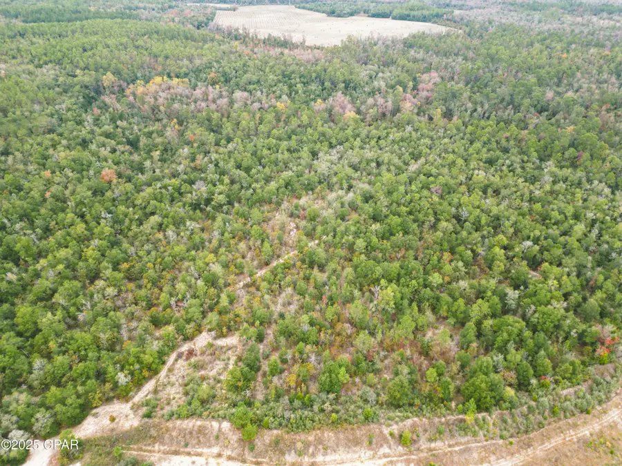 0000 Highview Circle, Chipley, FL 32428 - Image #3
