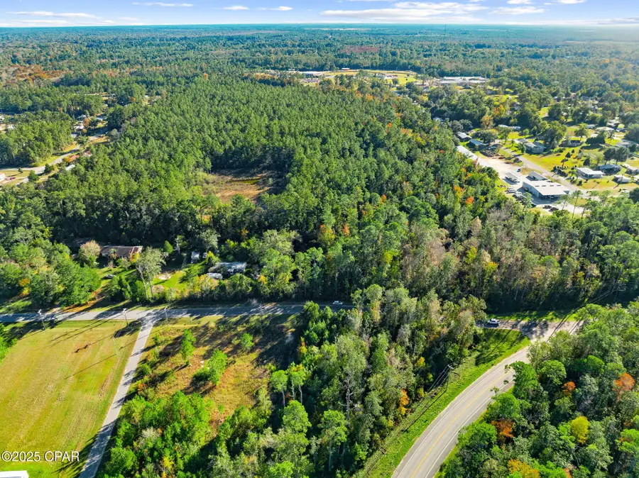 TBD Pear Street, Wewahitchka, FL 32465 - Image #2