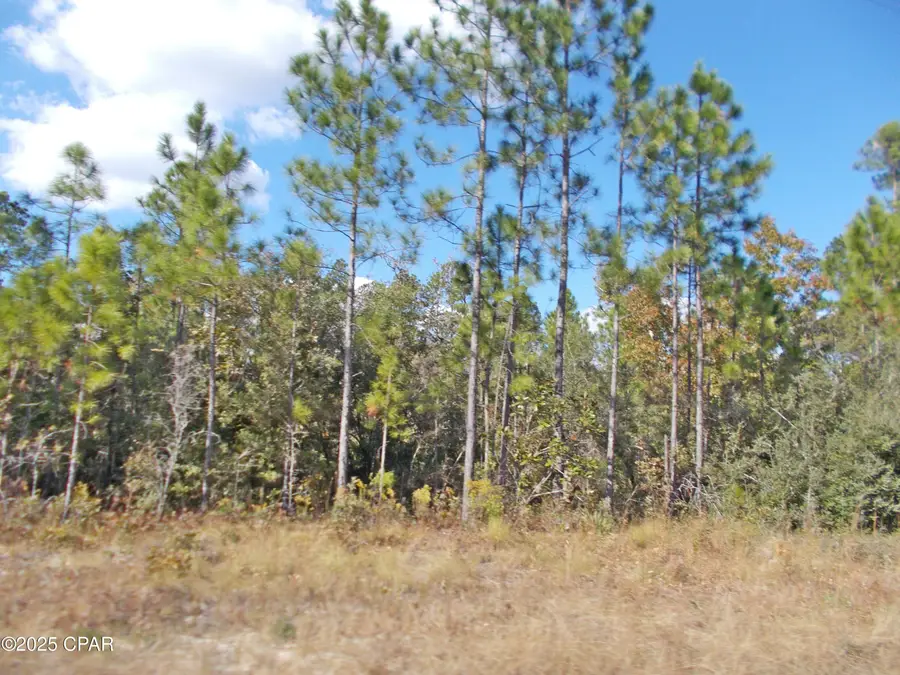 00 Nw Cr 167, Fountain, FL 32438 - Image #2
