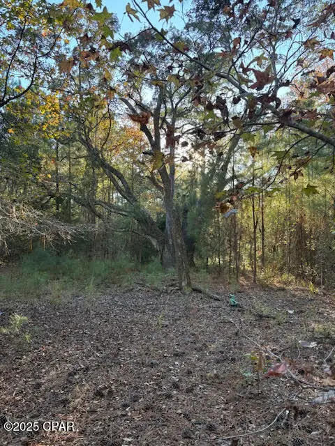 3389 Gainer Road, Chipley, FL 32428