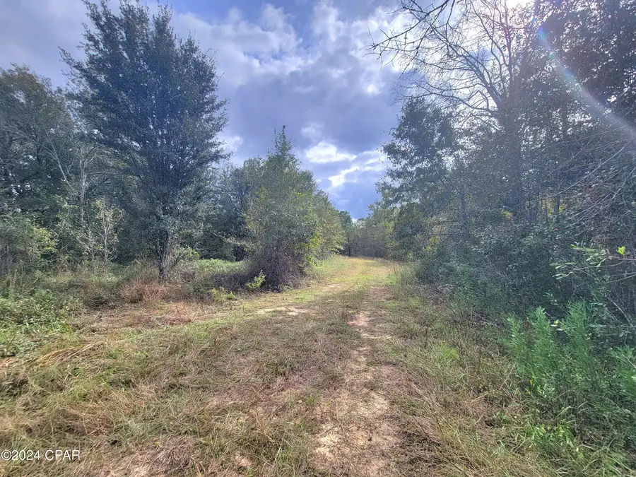 00 Sandridge Church Road, Grand Ridge, FL 32442 - Image #2