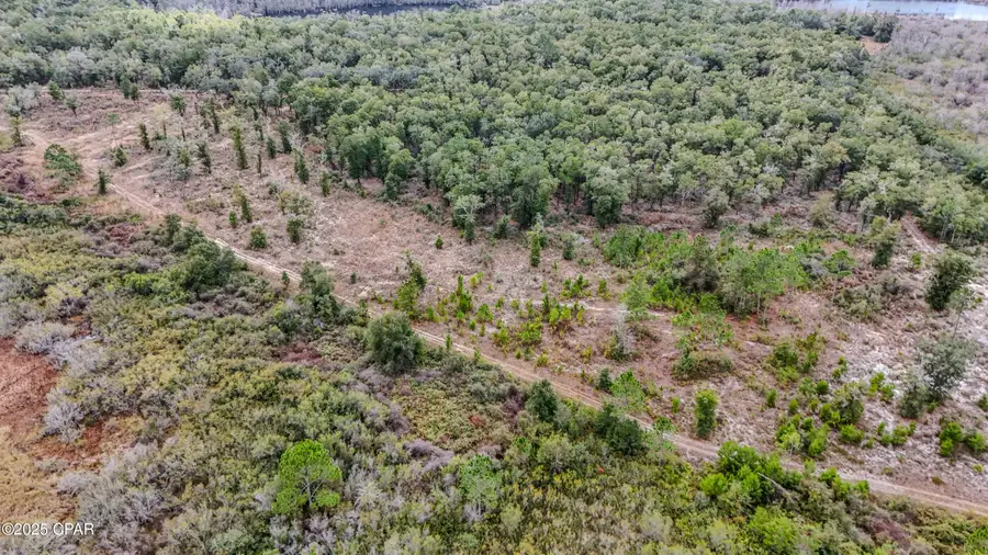 - Pine Log Road, Chipley, FL 32428 - Image #3