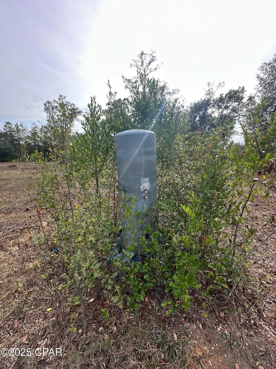 2194 Mohawk Trail, Sneads, FL 32460 - Image #3