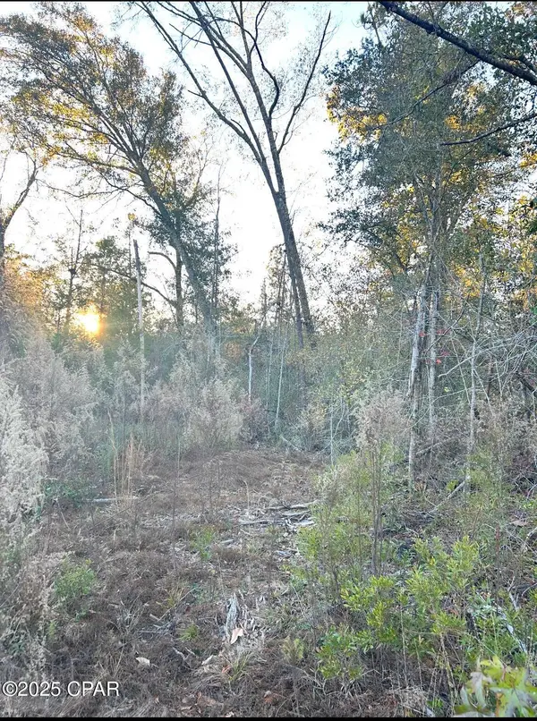 TBD Highway 90, Marianna, FL 32446