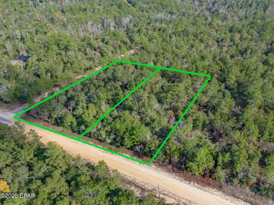 1166 Alene Drive, Alford, FL 32420 - Image #3