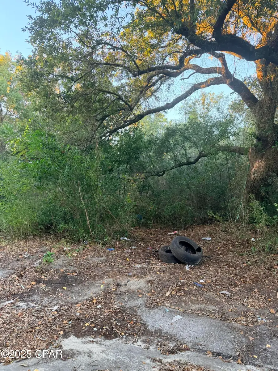 000 Fountain Avenue, Panama City, FL 32405 - #2