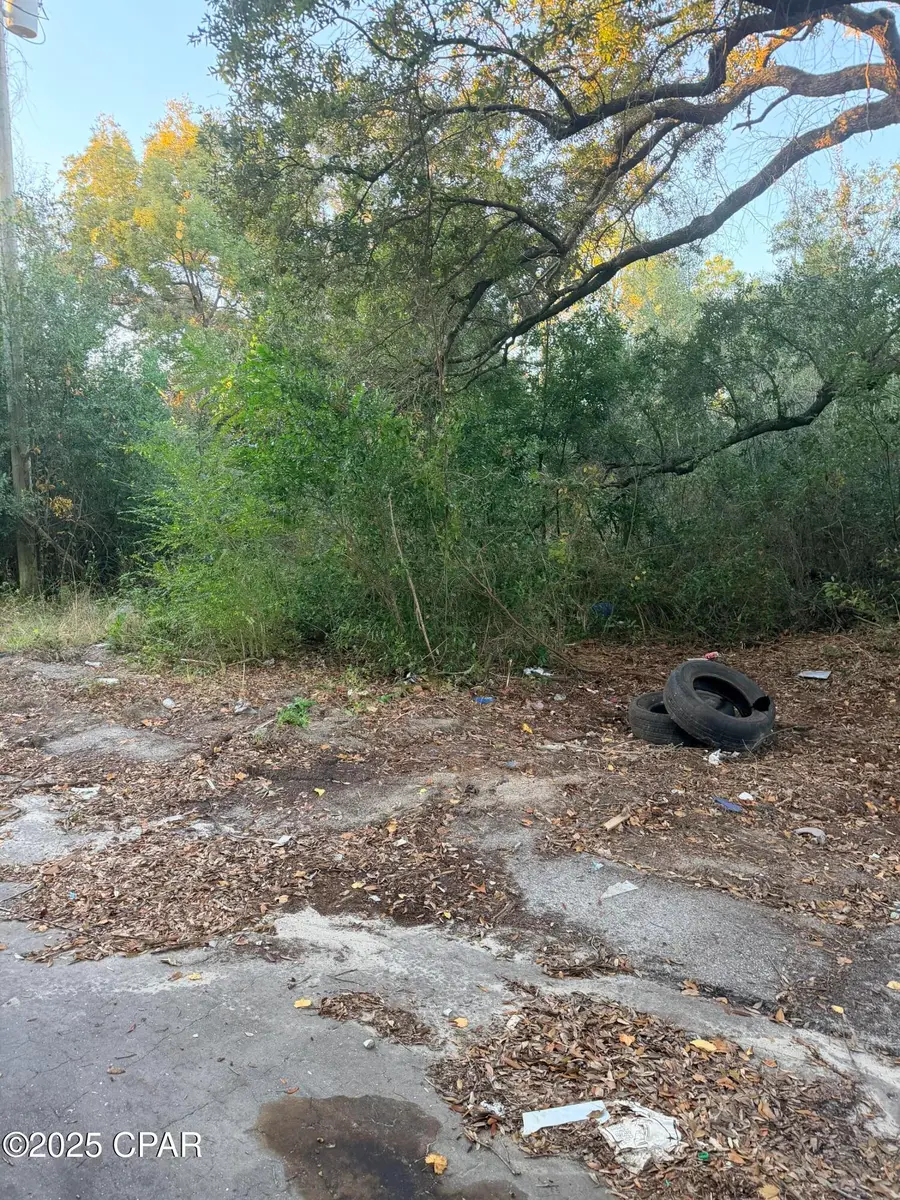 000 Fountain Avenue, Panama City, FL 32405 - #3