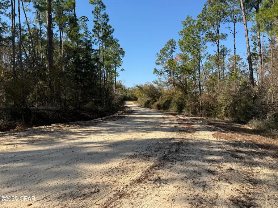 001 Anderson Drive, Alford, FL 32420 - #3