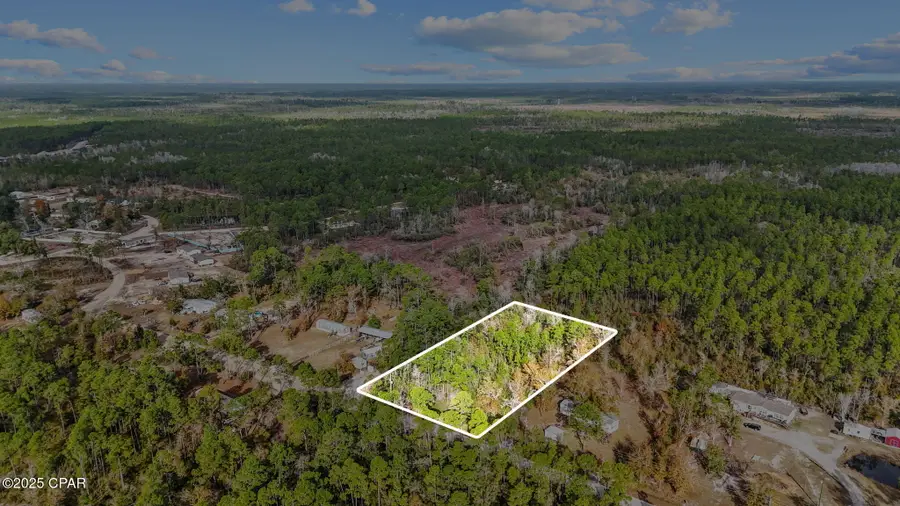 371 Newman Point Road, Southport, FL 32409 - Image #2