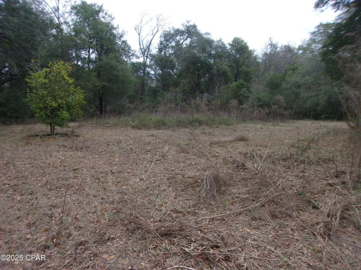 1724 Highway 173, Bonifay, FL 32425 - Image #1