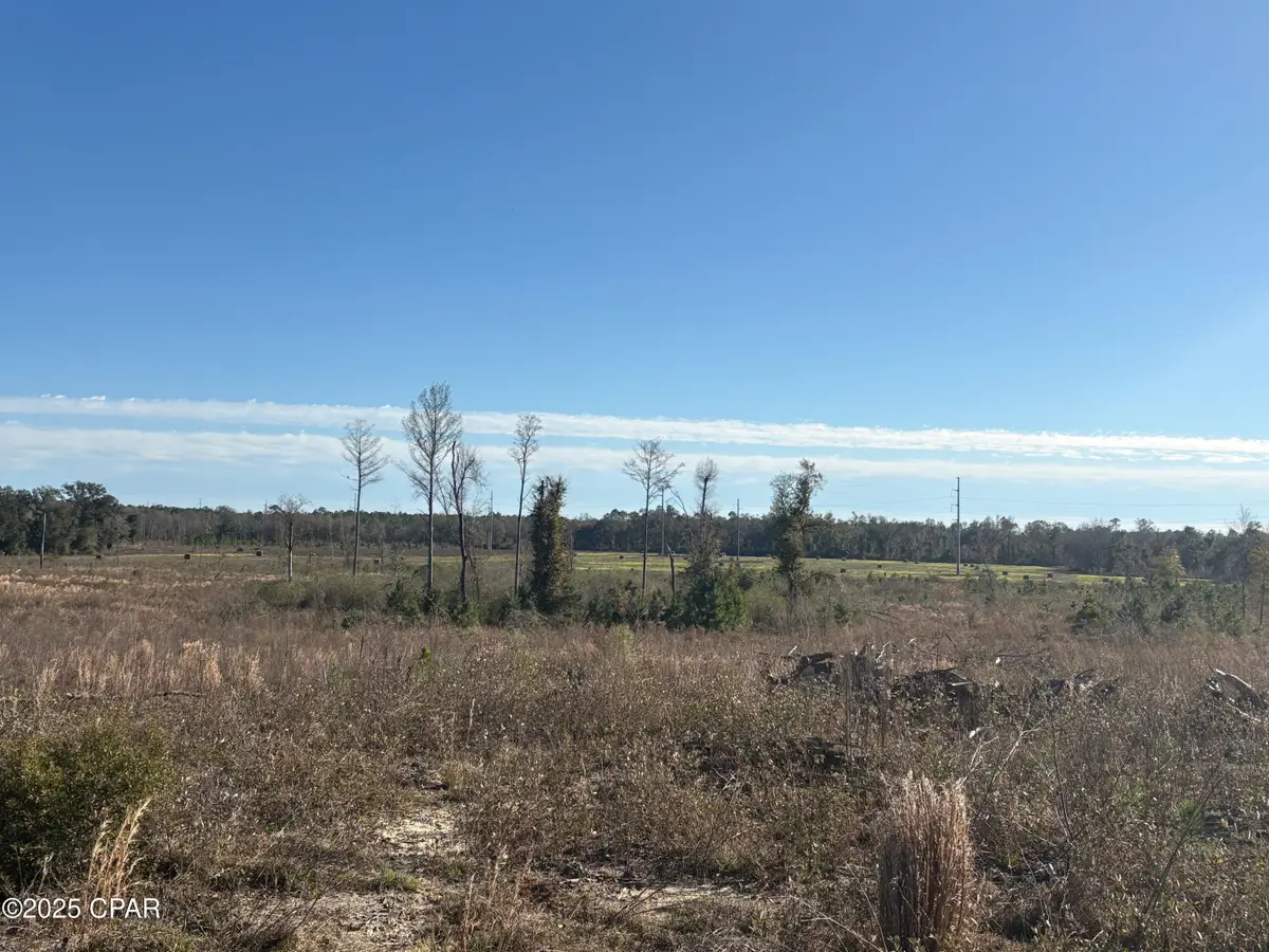 4980 Heisler Road, Graceville, FL 32440 - Image #1