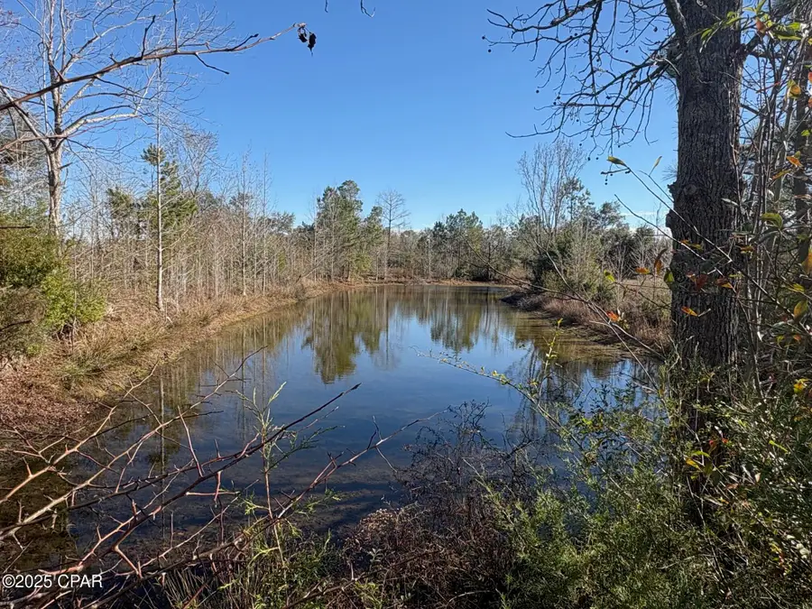 4980 Heisler Road, Graceville, FL 32440 - Image #3