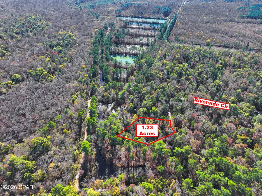 254 Riverside Circle, Wewahitchka, FL 32465 - Image #2