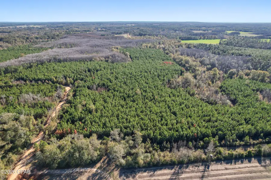 0 New Prospect Road, Chipley, FL 32428 - #2