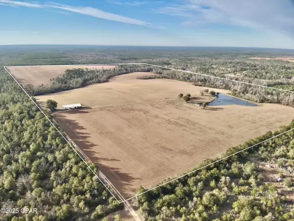 00 Crovetti Way, Alford, FL 32420