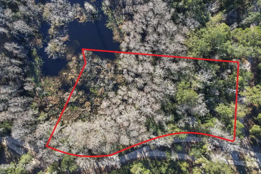 000 Lot 1 Cypress, Chipley, FL 32428 - Image #3