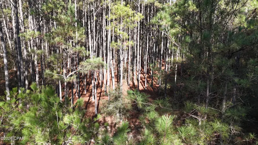 00 Southern Oak Way, Westville, FL 32464 - Image #3