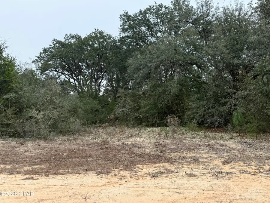 00 Leaf Court, Marianna, FL 32448 - Image #2