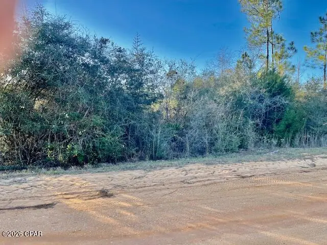 0 Carver Circle, Alford, FL 32420 - Image #1