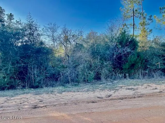 0 Carver Circle, Alford, FL 32420 - Image #2