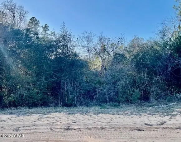 0 Carver Circle, Alford, FL 32420 - Image #3