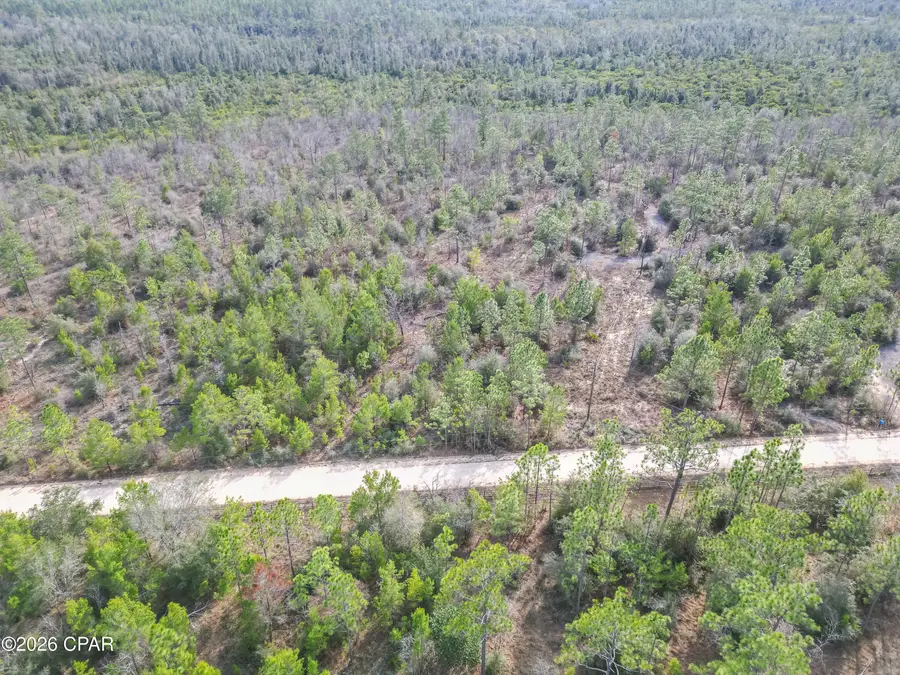 4343 NW Twin Ponds Road, Altha, FL 32421 - Image #2