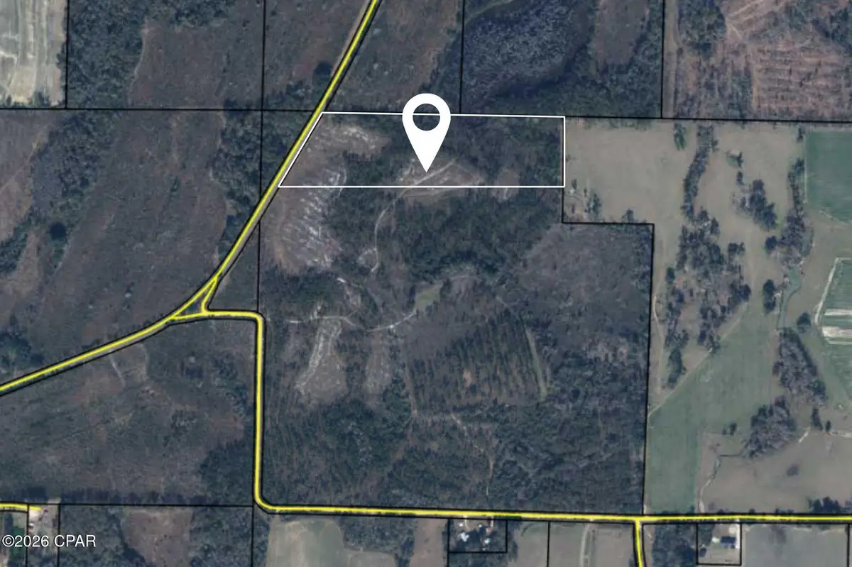 XXX Piano Road, Graceville, FL 32440 - Image #1