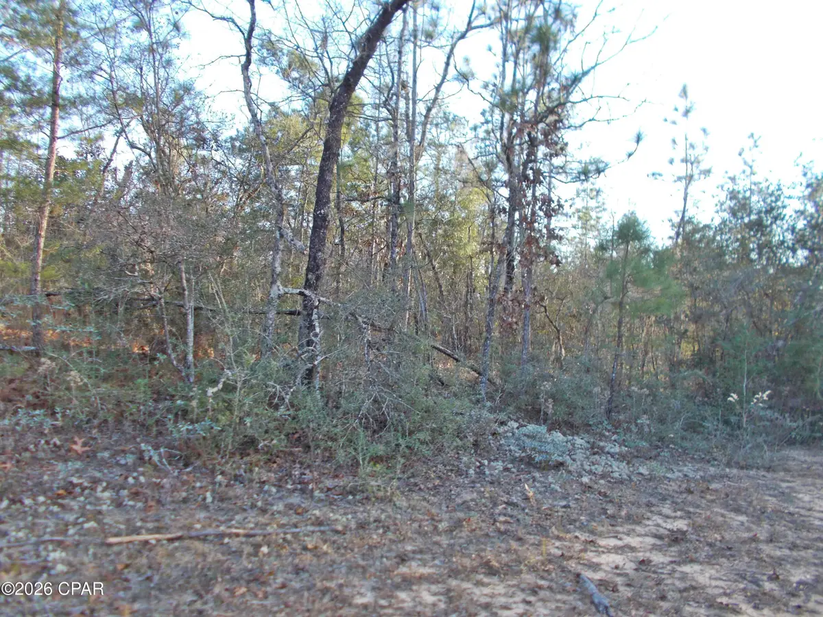 Lot 11 Rim Court #unit  3, Marianna, FL 32448 - Image #1