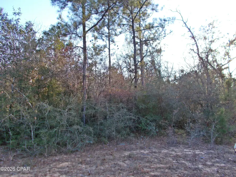 Lot 11 Rim Court #unit  3, Marianna, FL 32448 - Image #2