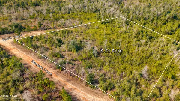 0 Spirit Court, Alford, FL 32420