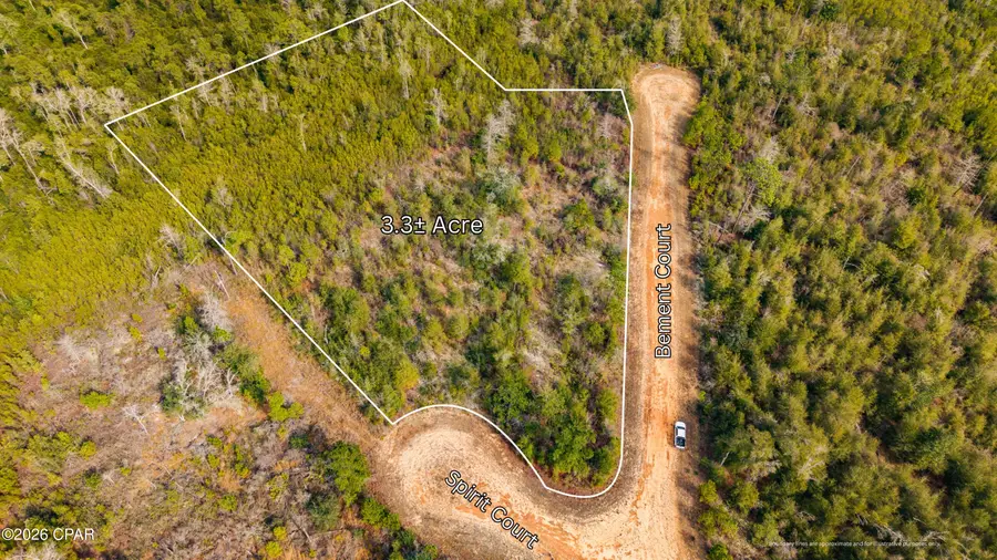 0 Spirit Court, Alford, FL 32420 - Image #3