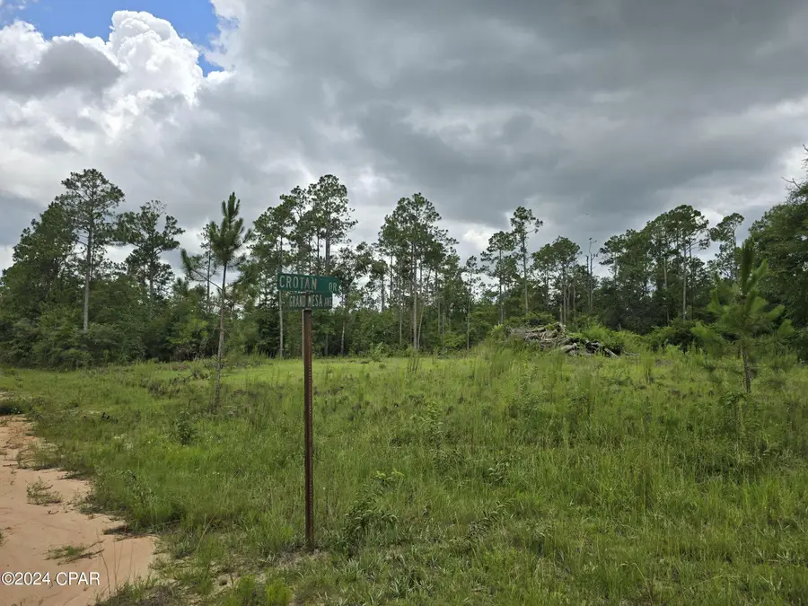 000 Crotan Drive, Alford, FL 32420 - #3