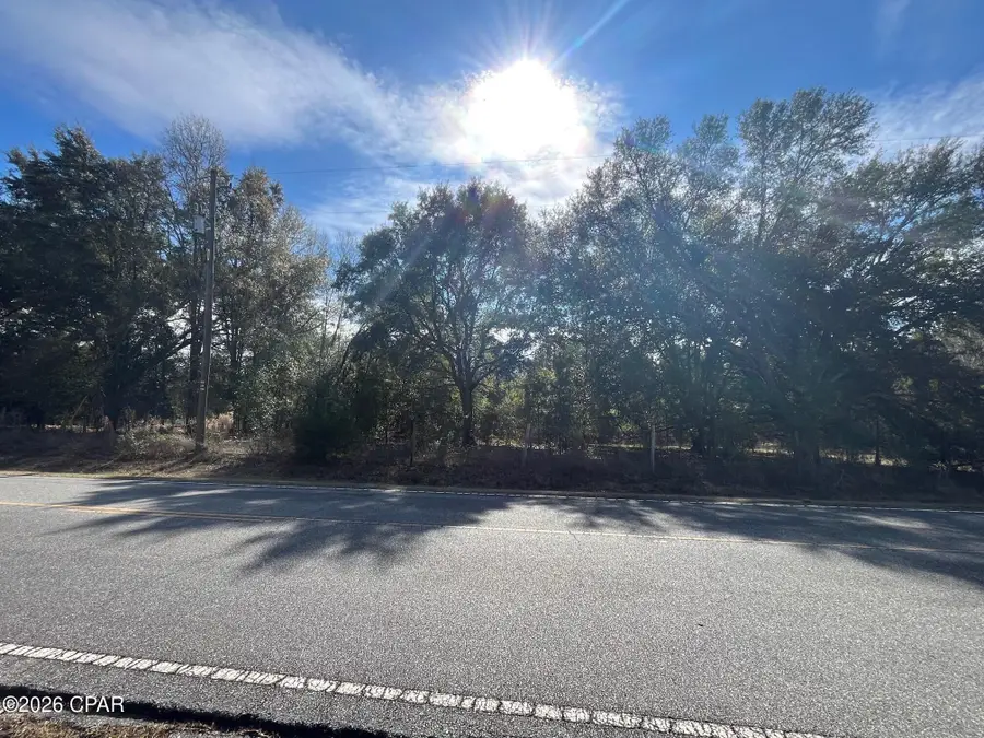 00 Welcome Church Rd, Sneads, FL 32460 - #2