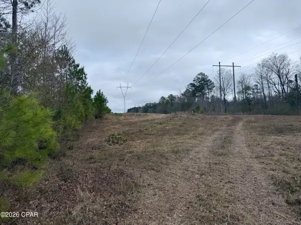 0 Dunn Road, Chattahoochee, FL 32324