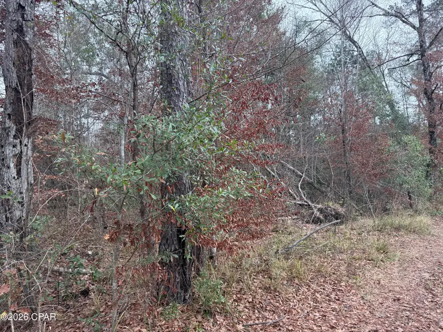 0 Dunn Road, Chattahoochee, FL 32324 - Image #3